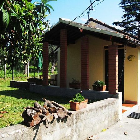 L'Albero Delle Noci Villa Lanciano Dış mekan fotoğraf