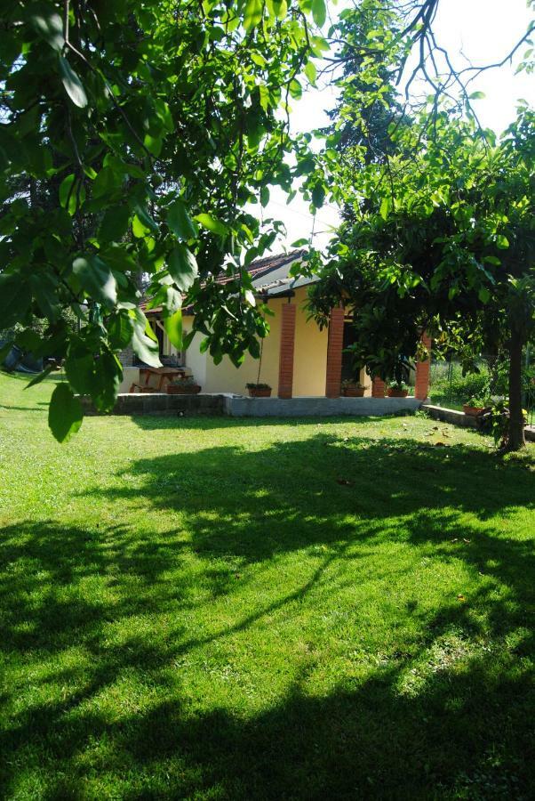 L'Albero Delle Noci Villa Lanciano Dış mekan fotoğraf